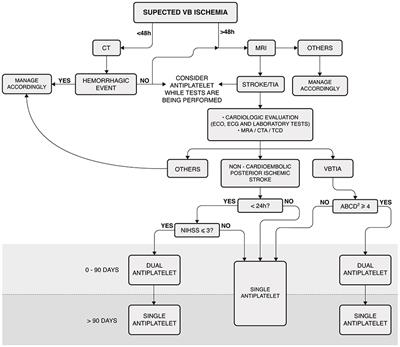 Vertigo and dizziness due to vertebrobasilar TIA: a prospective study